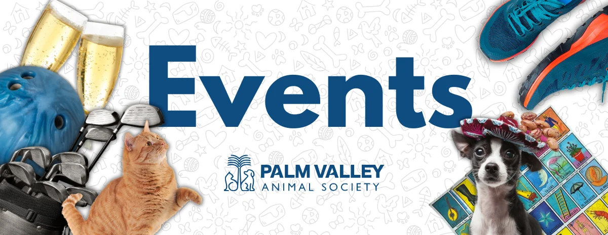 Standard Event Banner