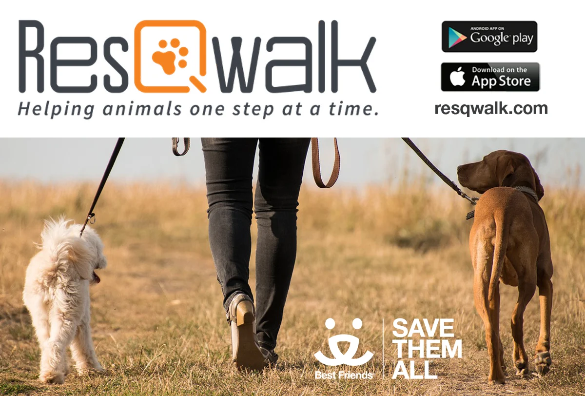ResQWalk 02