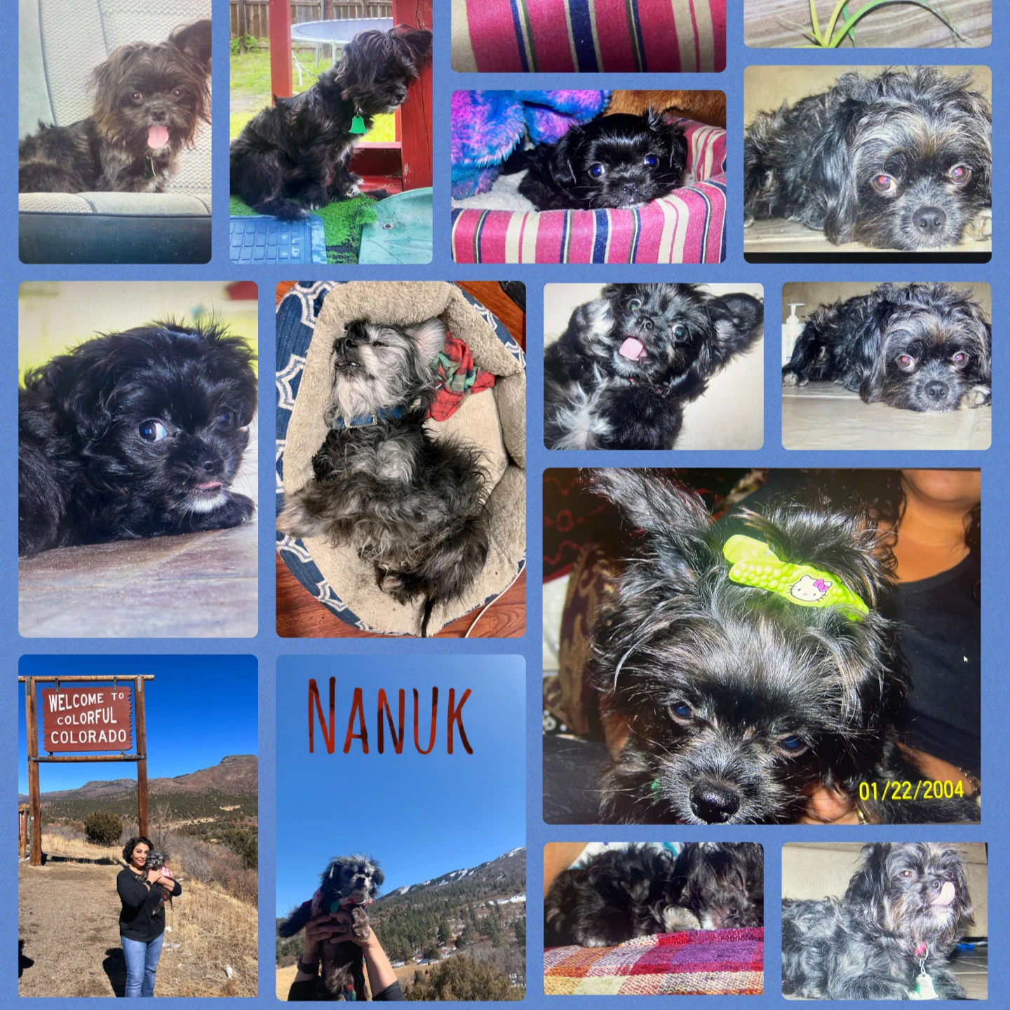 Nanuk