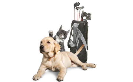 Putt for Pets graphic