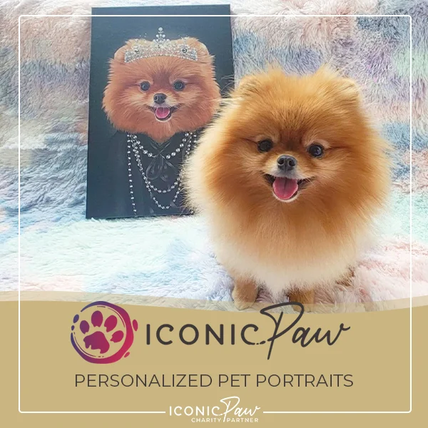Shop for a cause — PVAS photo
