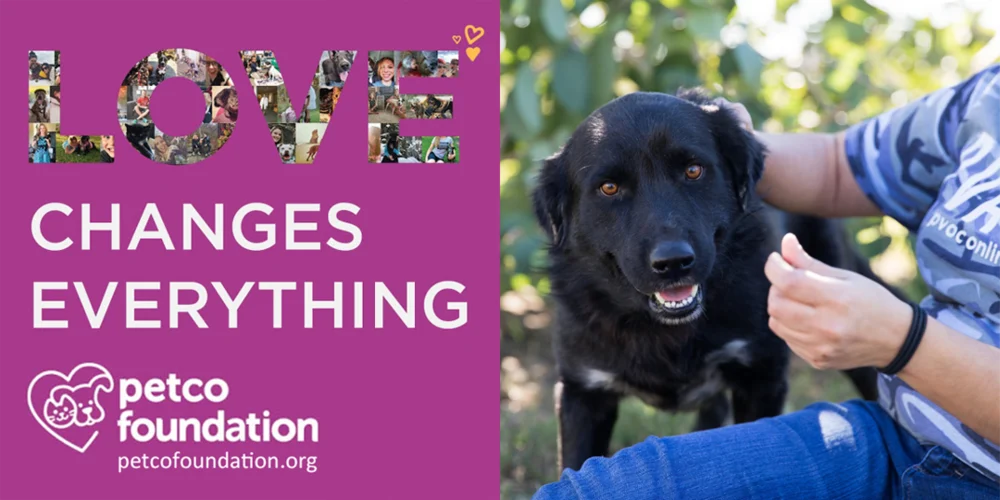 Petco Foundation’s Commitment is Saving Animal Lives in the Valley