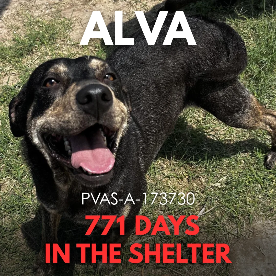 Alva
