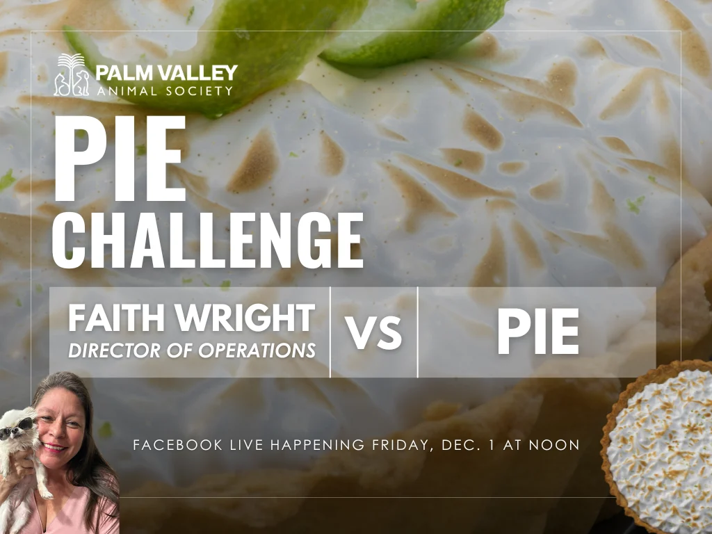 Pies for Paws: A Sweet Challenge with a Serious Message