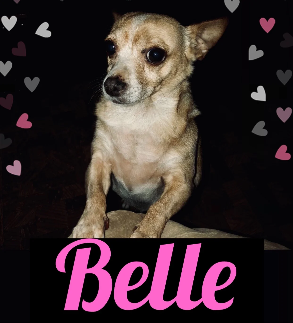 Belle