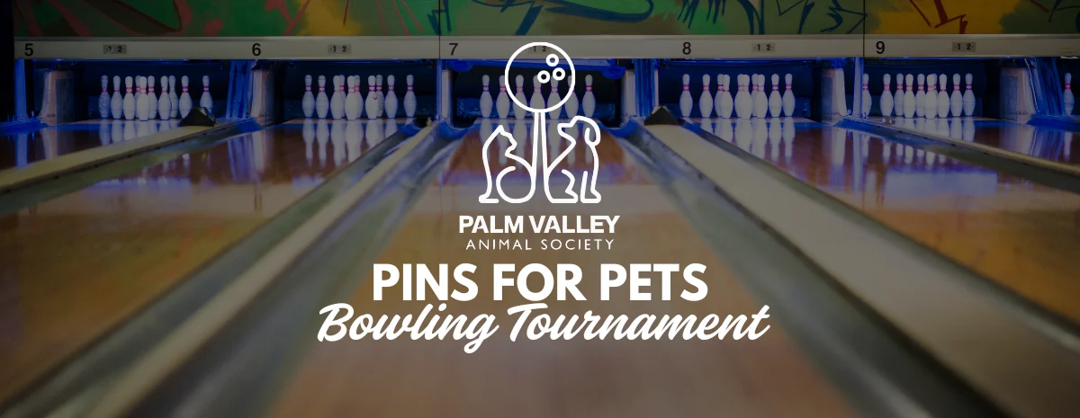 Pins for Pets Banner