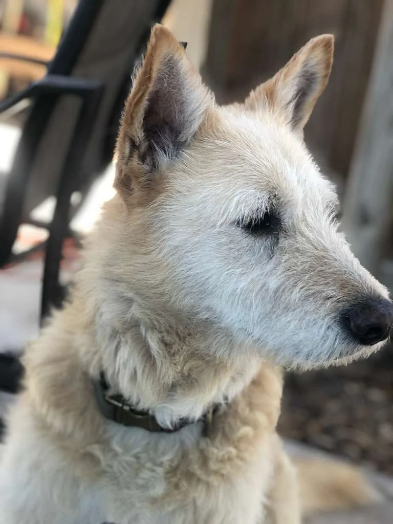 Remus
