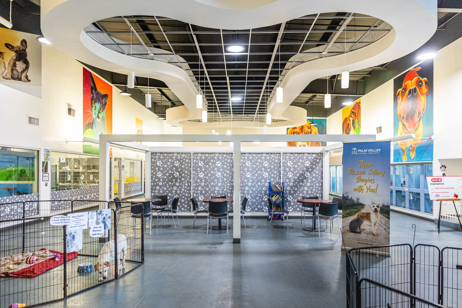 Inside the welcoming Palm Valley Animal Society adoption center