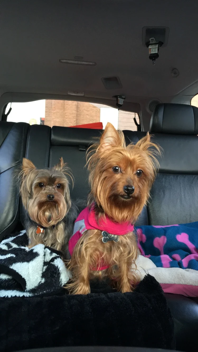 Bella and Biggie