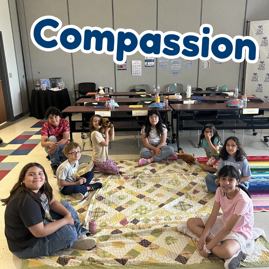 C.A.R.E. Camp — PVAS photo