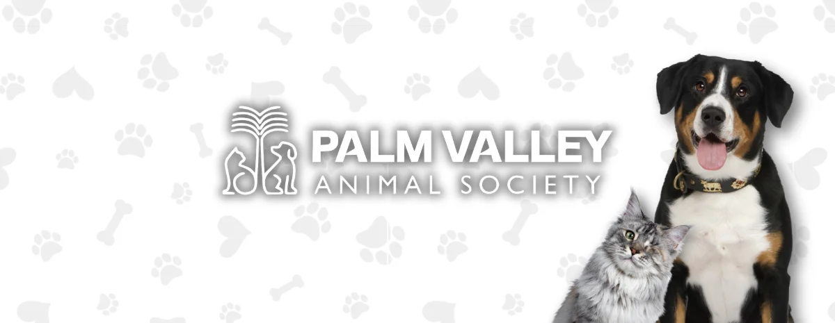Website Banner General