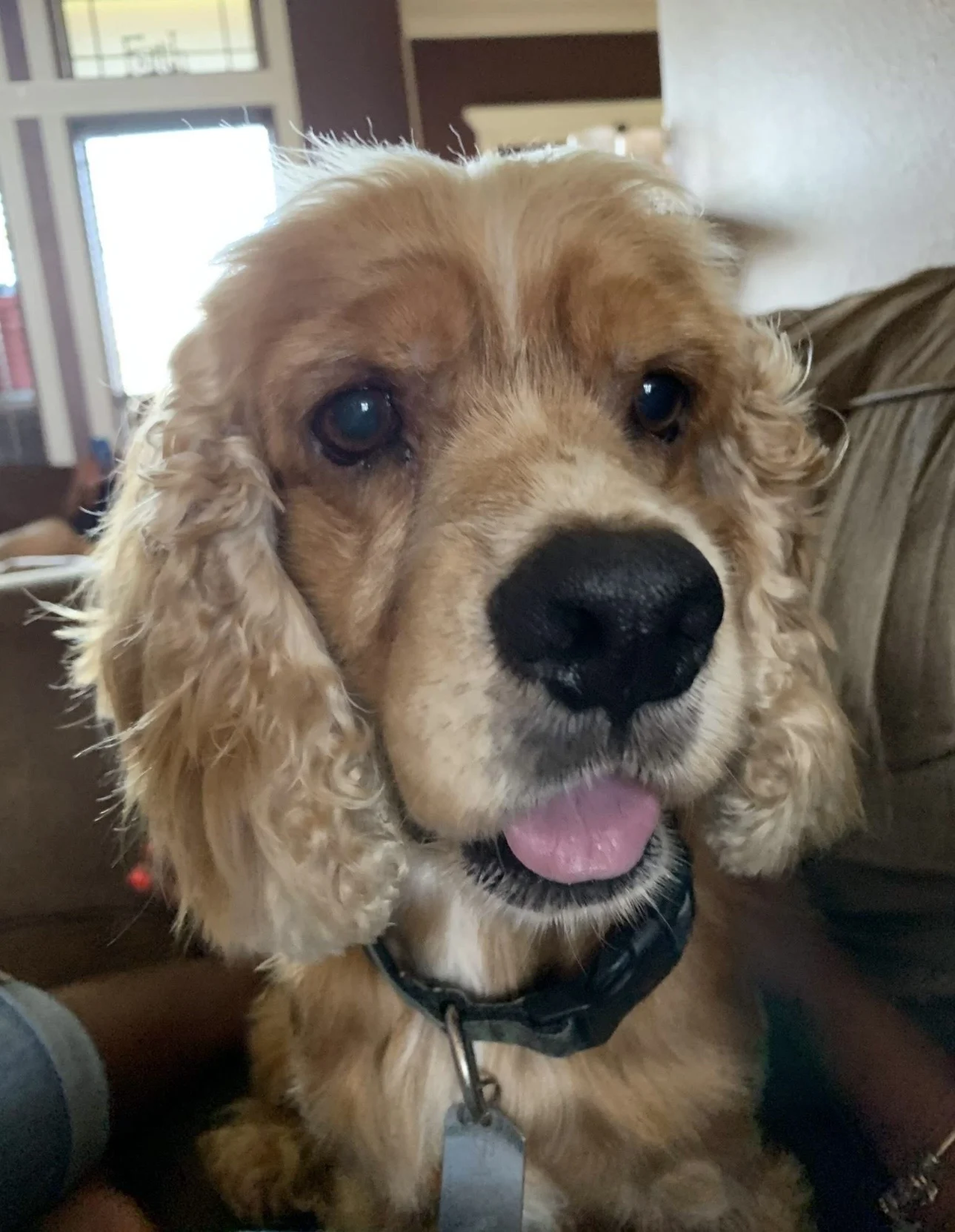 Baxter