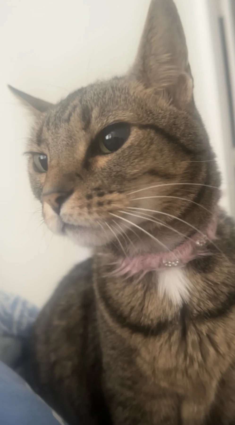 Sophie