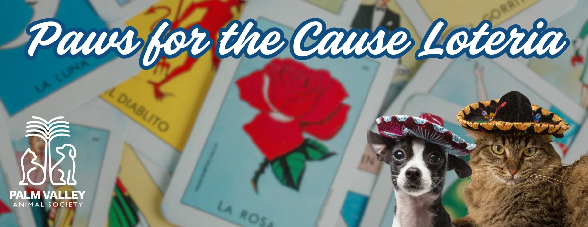Loteria Banner