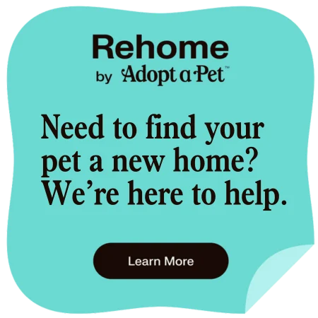 RehomebyAdoptaPet-need