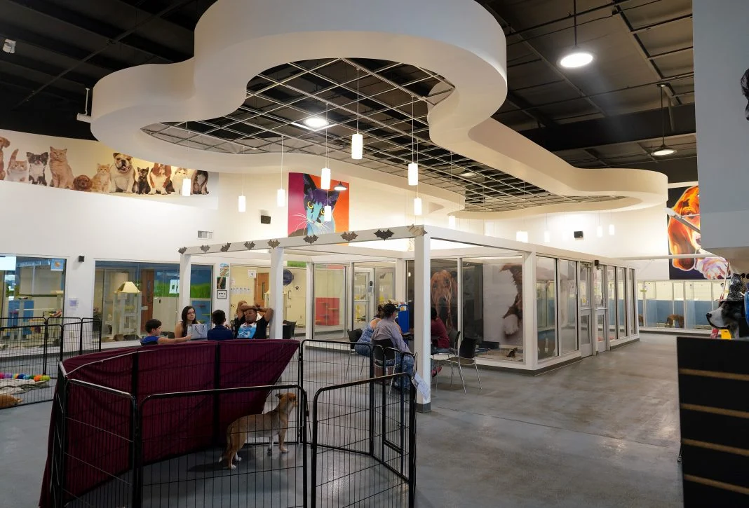 The inside lobby of the Laurie P. Andrews Center